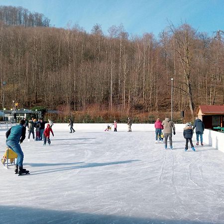 Fewo-Radau Bad Harzburg Zewnętrze zdjęcie