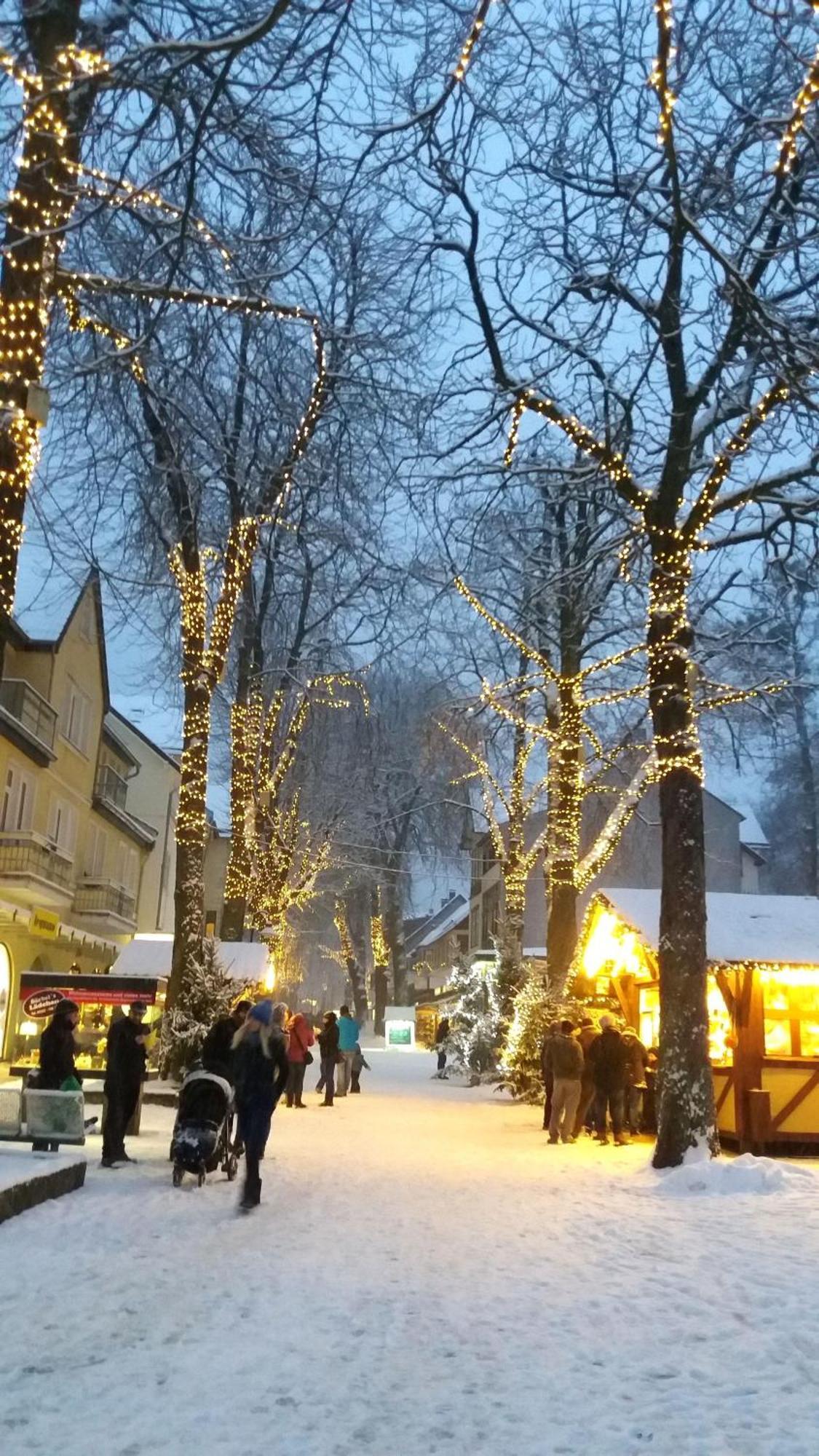 Fewo-Radau Bad Harzburg Zewnętrze zdjęcie