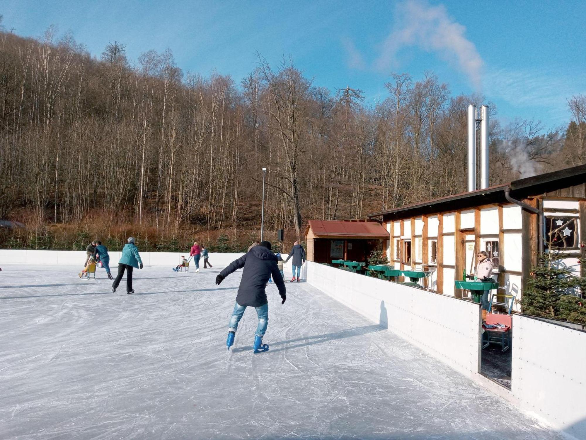 Fewo-Radau Bad Harzburg Zewnętrze zdjęcie